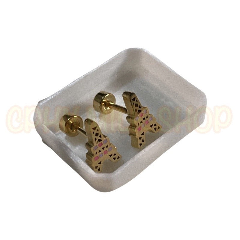 Stainless Steel Earrings