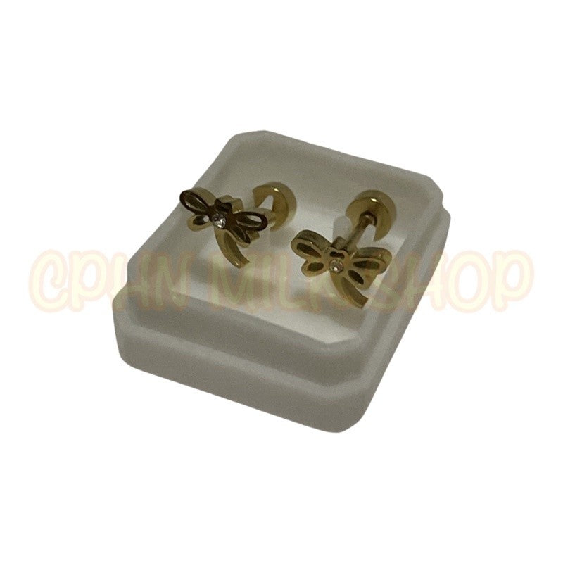 Stainless Steel Earrings
