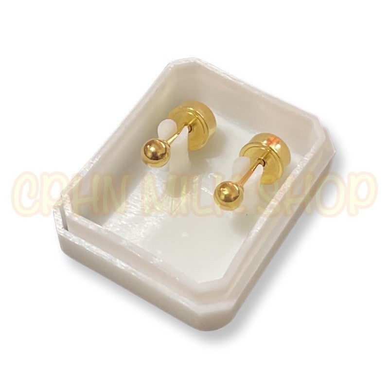 Stainless Steel De Roscas Earrings
