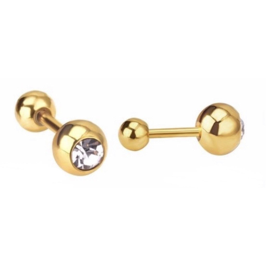 Stainless Steel Earrings Birthstone Ball