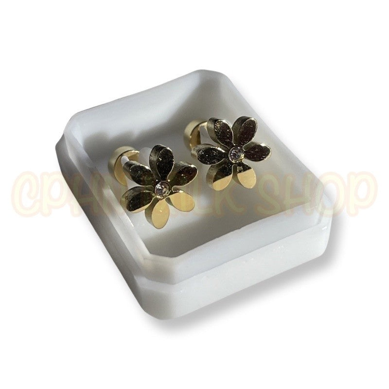 Stainless Steel De Roscas Earrings
