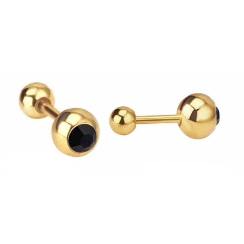 Stainless Steel Earrings Birthstone Ball
