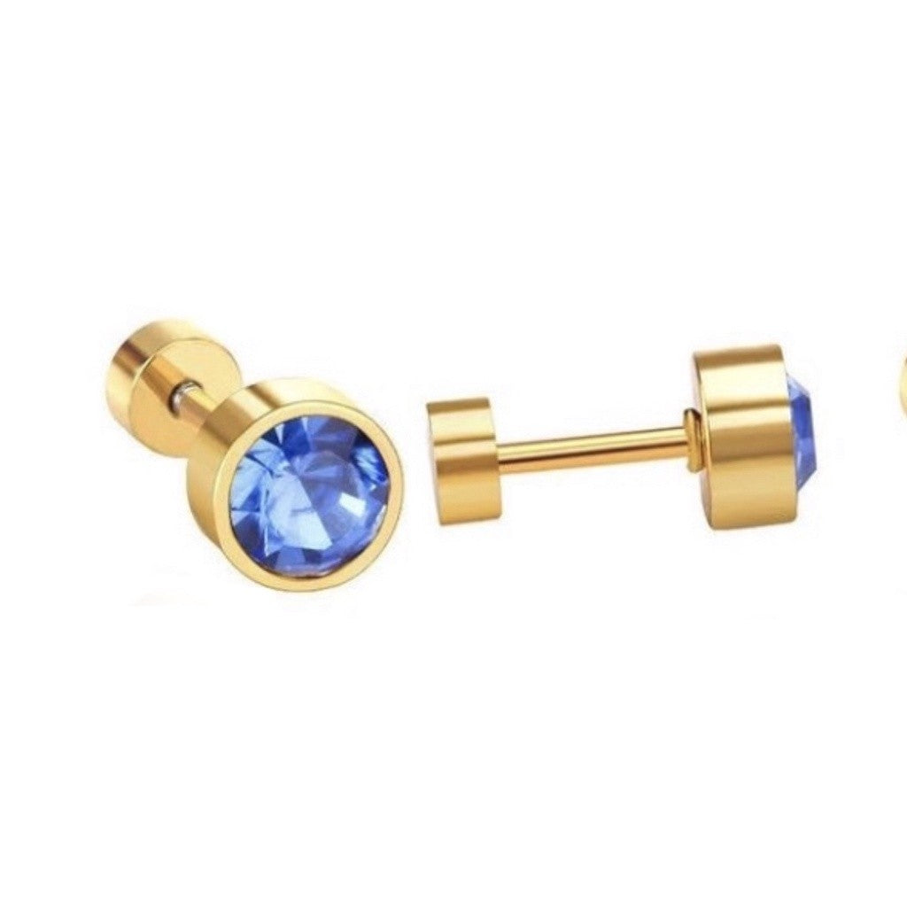 Stainless Steel Earrings Birthstone Donut