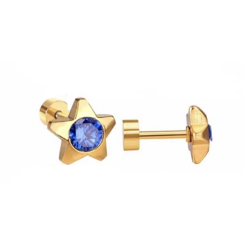 Stainless Steel Earrings Birthstone Star