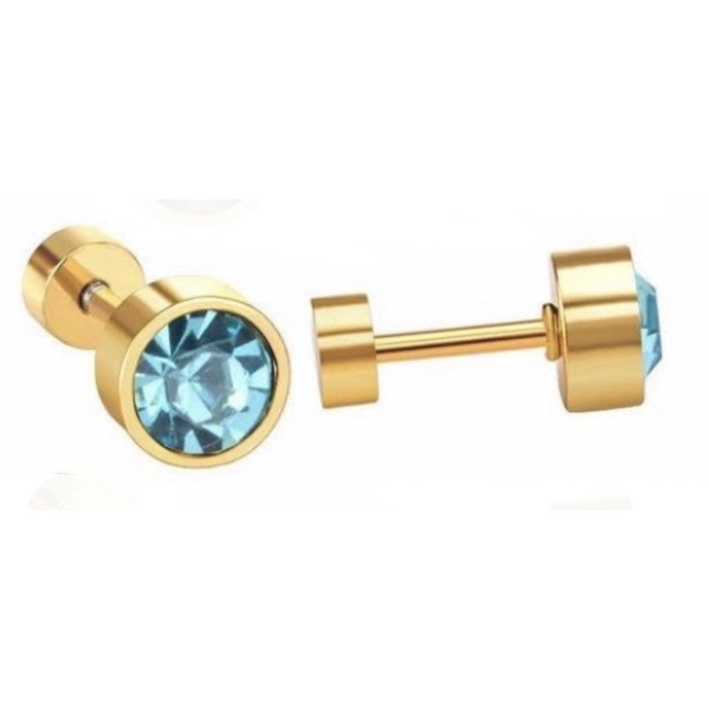 Stainless Steel Earrings Birthstone Donut