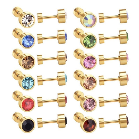 Stainless Steel Earrings Birthstone Donut
