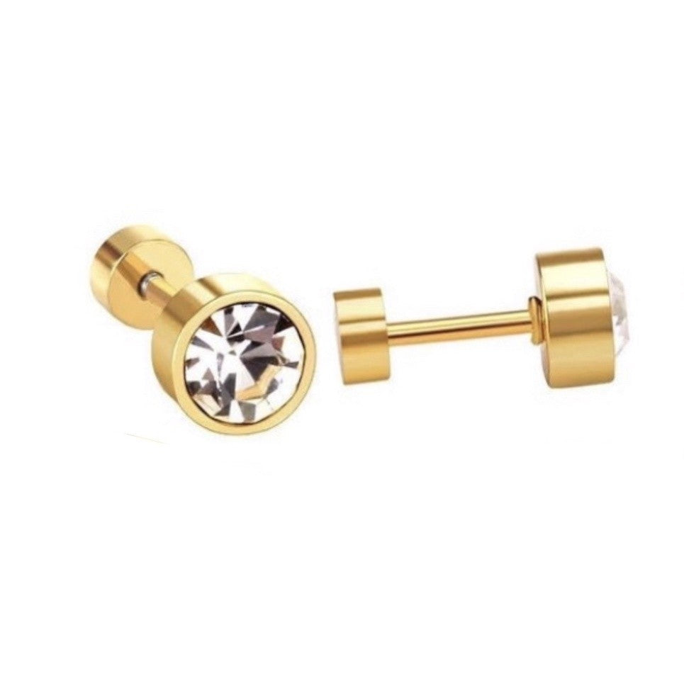Stainless Steel Earrings Birthstone Donut