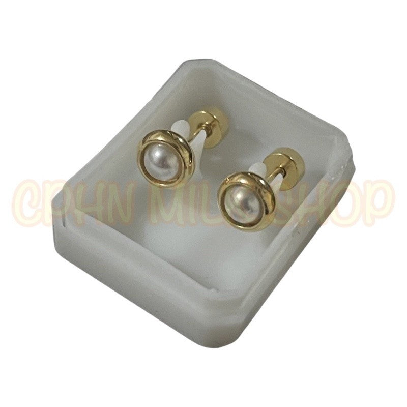 Stainless Steel Earrings