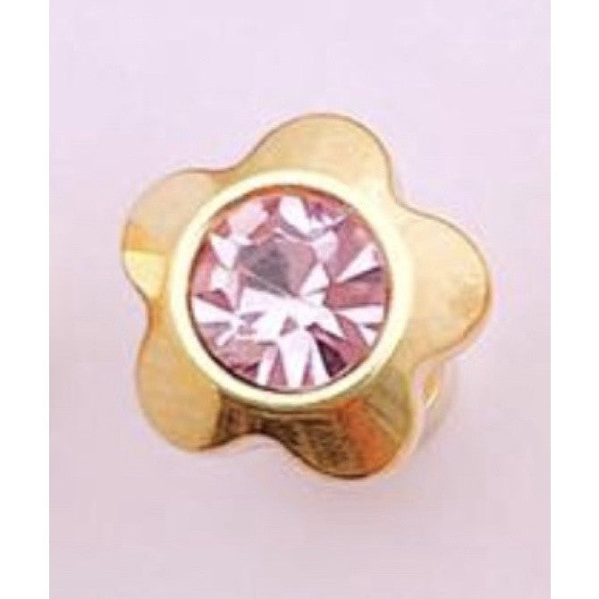 Stainless Steel Earrings Birthstone Flower