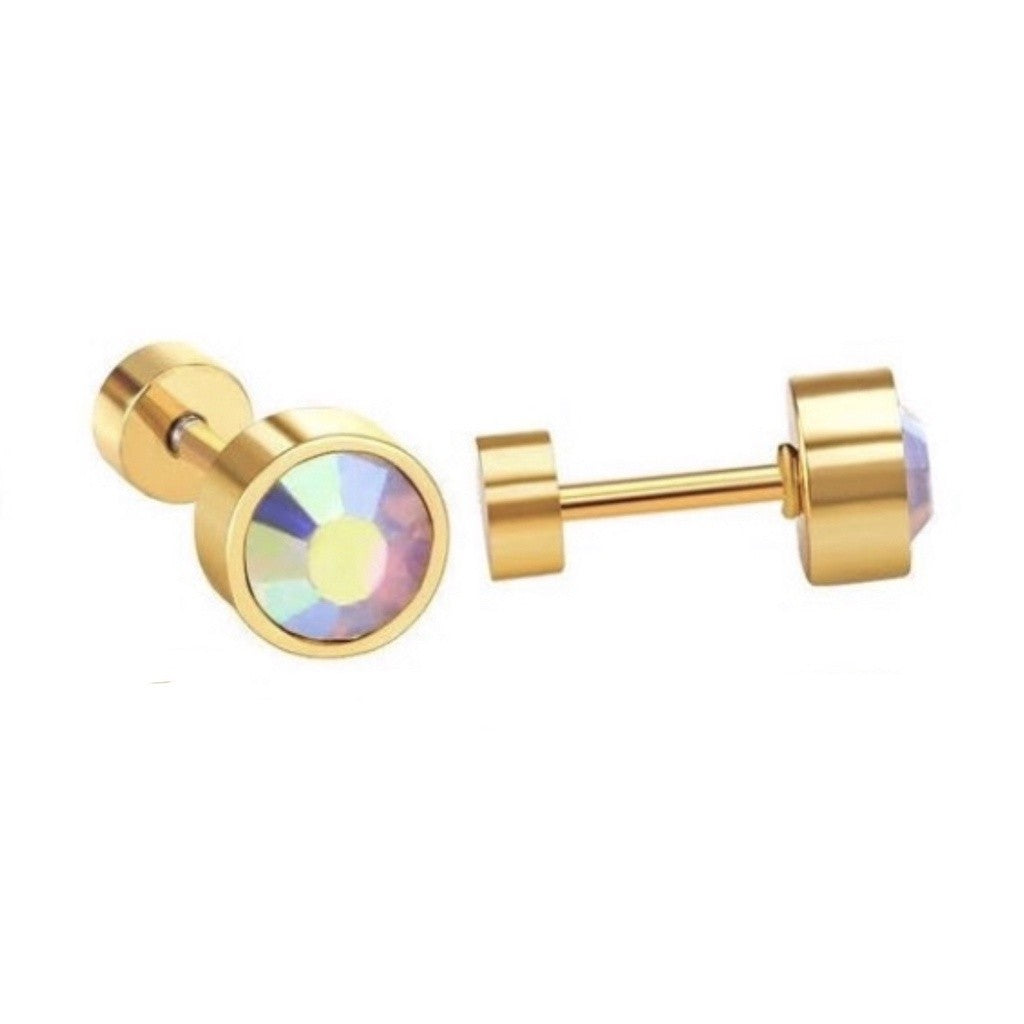 Stainless Steel Earrings Birthstone Donut