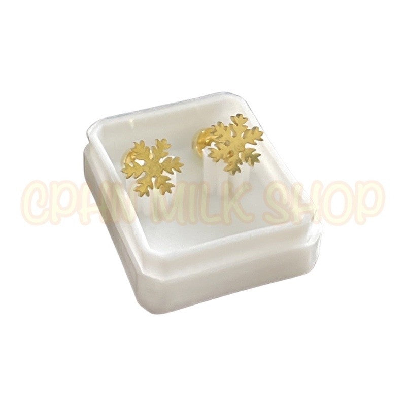 Stainless Steel Earrings
