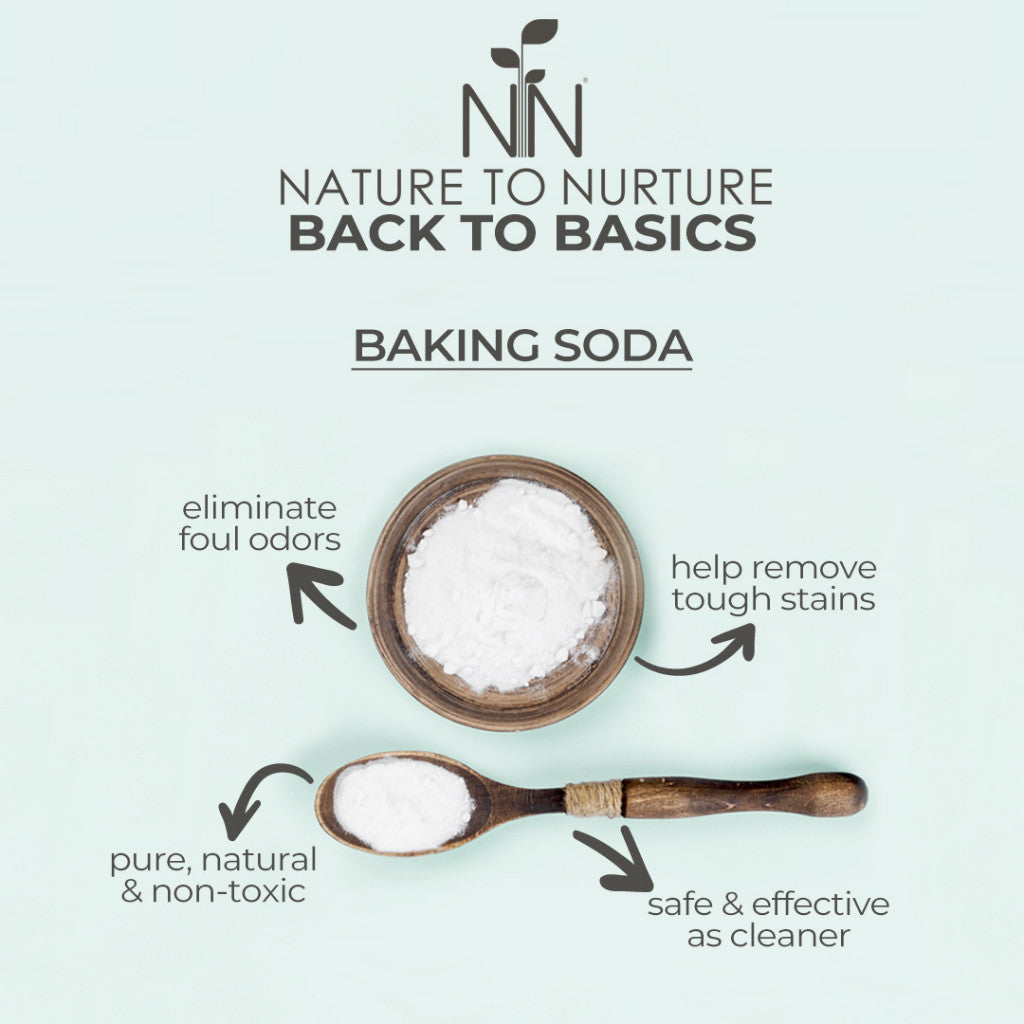 Nature to Nurture Baby Bottle and Dish Wash 800ml refill
