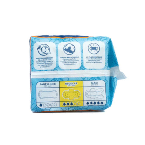 Femme Sanitary Napkins Regular 10 Pads