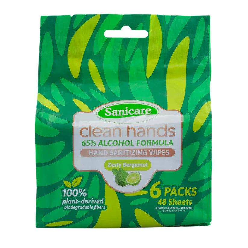 Sanicare Clean Hands 65% Alcohol Formula Hand Sanitizing Mini Wipes (Pack of 6)